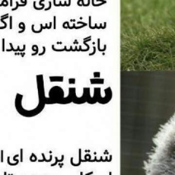 Behrooz Photo On Iran Gays Club