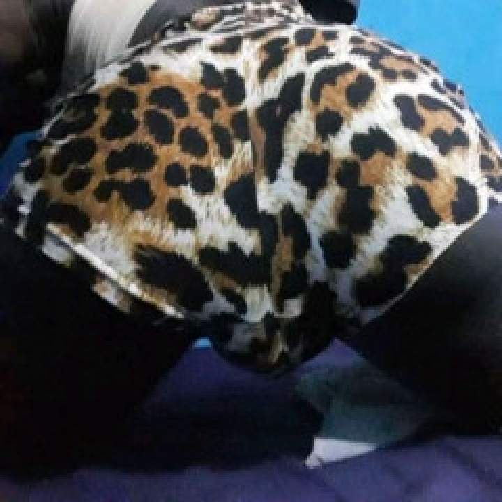 Sexy Ass T Photo On Jamaica Gays Club
